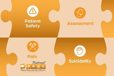 PRQC focus areas