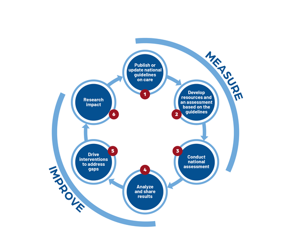 Peds Ready Project cycle