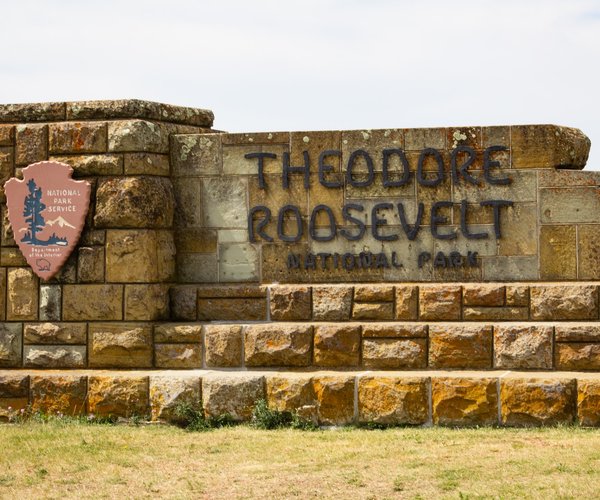 Roosevelt NP (ryan-stone-lWzqcepAkKg-unsplash)