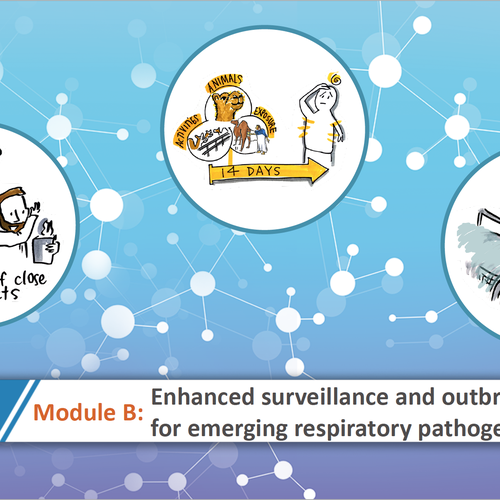 WHO: Emerging Respiratory Viruses, including nCoV_B