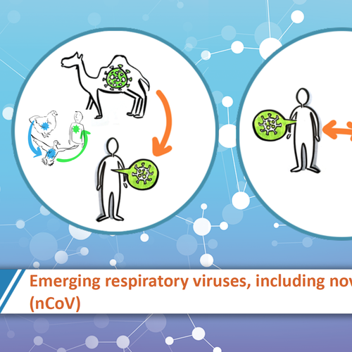 Emerging Respiratory Viruses nCoV A1