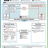 Survivng Sepsis (2026)