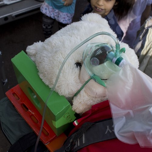 bear bag mask