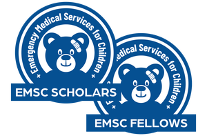 scholars fellows